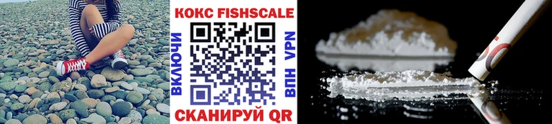 Купить где  Пучеж  COCAIN Fish Scale 