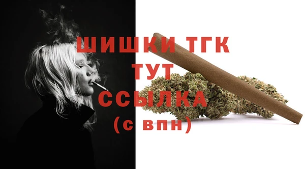 бошки Дмитриев