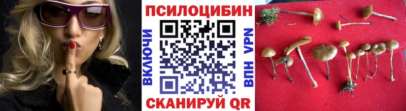 Купить где  Пучеж  Псилоцибиновые грибы ЛСД 